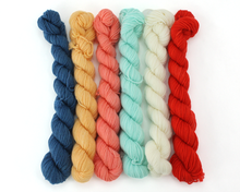 Load image into Gallery viewer, Mini Skein County Fair—Set of 6—Hand-dyed yarn
