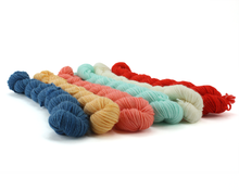 Load image into Gallery viewer, Mini Skein County Fair—Set of 6—Hand-dyed yarn
