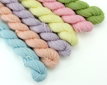 Load image into Gallery viewer, Mini Skein Garden Party—Set of 6—Hand-dyed yarn
