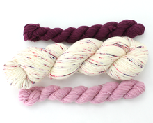 Load image into Gallery viewer, Pressed Pedals Sock Set—Hand-Dyed Yarn (fingering weight)
