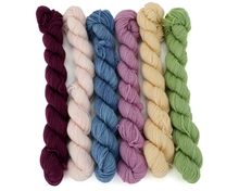 Load image into Gallery viewer, Mini Skein Wild Blackberry—Set of 6—Hand-dyed yarn
