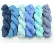 Load image into Gallery viewer, Mini Skein Singing the Blues—Set of 6—Hand-dyed yarn
