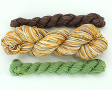 Load image into Gallery viewer, Falling Leaves Sock Set—Hand-Dyed Yarn (fingering weight)
