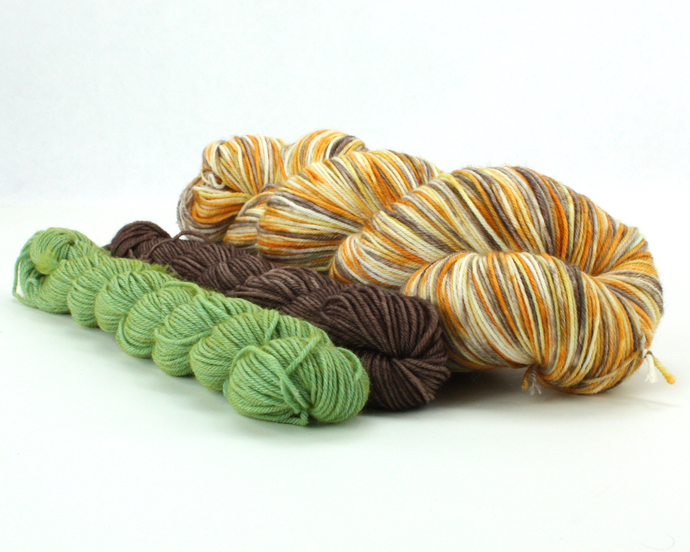 Falling Leaves Sock Set—Hand-Dyed Yarn (fingering weight)