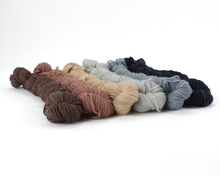 Load image into Gallery viewer, Mini Skein Fireside—Set of 6—Hand-dyed yarn
