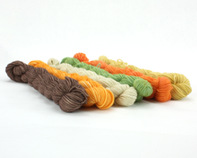 Load image into Gallery viewer, Mini Skein Pumpkin Pie—Set of 6—Hand-dyed yarn
