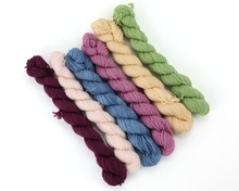 Load image into Gallery viewer, Mini Skein Wild Blackberry—Set of 6—Hand-dyed yarn

