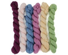Load image into Gallery viewer, Mini Skein Wild Blackberry—Set of 6—Hand-dyed yarn
