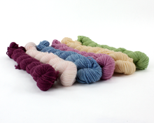 Load image into Gallery viewer, Mini Skein Wild Blackberry—Set of 6—Hand-dyed yarn
