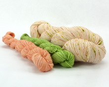 Load image into Gallery viewer, Wildflower Sock Set—Hand-Dyed Yarn (fingering weight)
