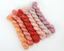 Load image into Gallery viewer, Mini Skein Spicy Colors—Set of 6—Hand-dyed yarn
