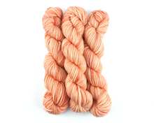 Load image into Gallery viewer, Beginner Knit Kit—Classic Beanie Style Hat (with beautiful coral hand-dyed yarn)
