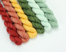 Load image into Gallery viewer, Mini Skein Rusty Rainbow Colors—Set of 6—Hand-dyed yarn
