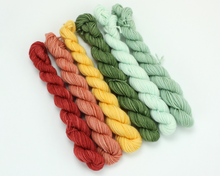 Load image into Gallery viewer, Mini Skein Rusty Rainbow Colors—Set of 6—Hand-dyed yarn
