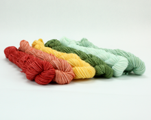 Load image into Gallery viewer, Mini Skein Rusty Rainbow Colors—Set of 6—Hand-dyed yarn
